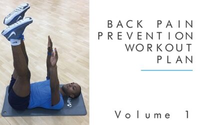 Back Pain Prevention Workout Plan